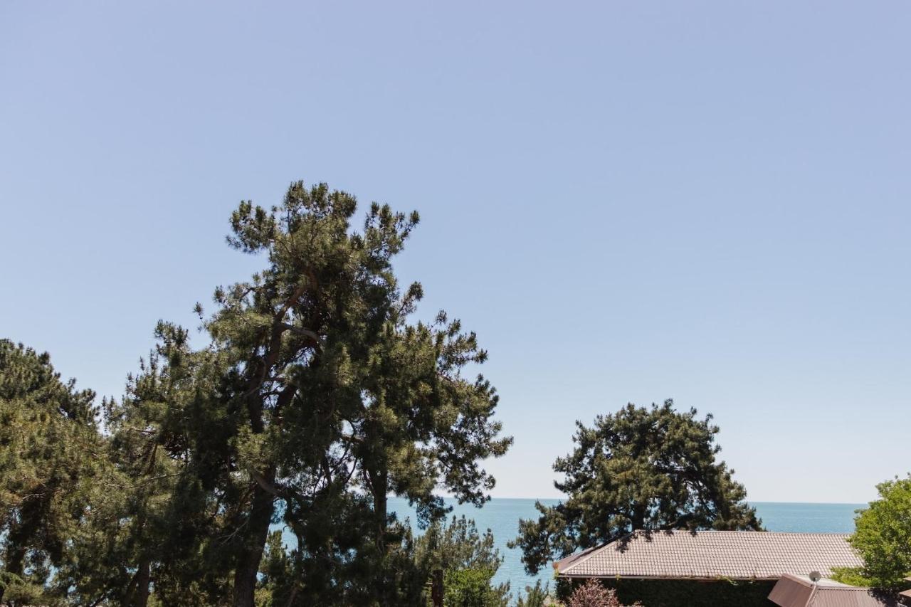 Hotel Talion, Pitsunda Lidzava 外观 照片